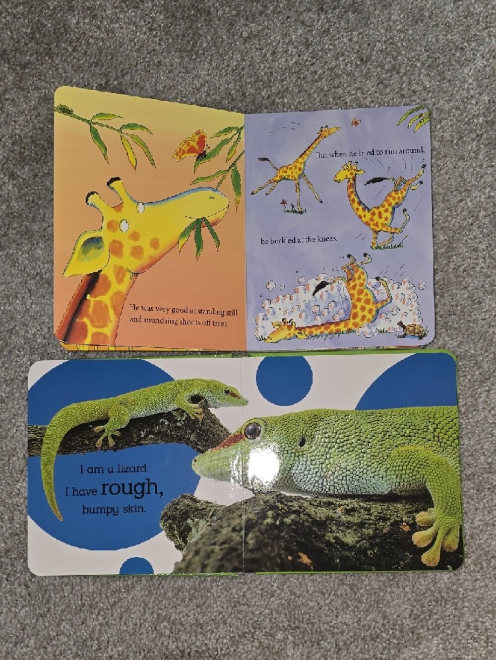 Set Of 4 Kids Board Books - Picture 5 of 5